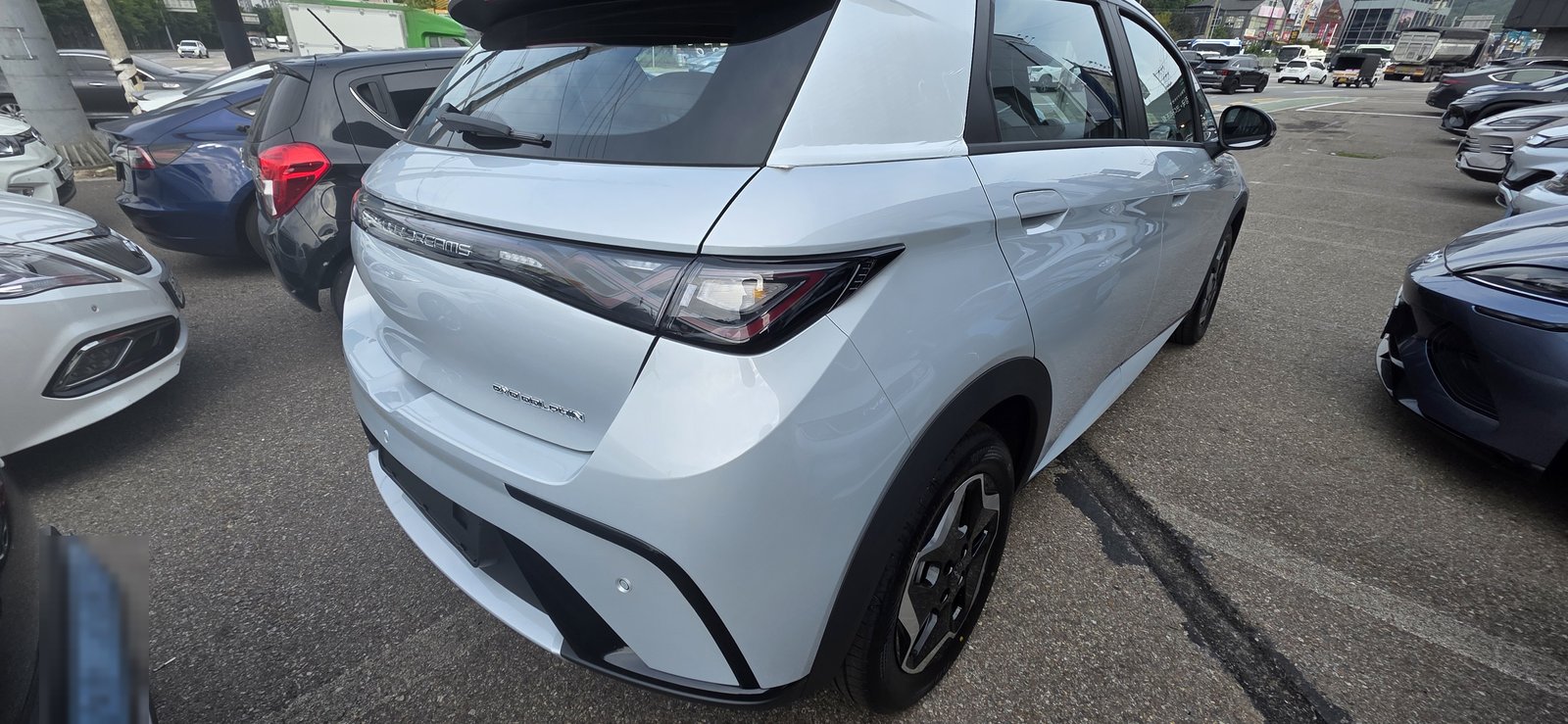 매장 주차장에 도착한 BYD 돌핀 뒷모습과 옆모습