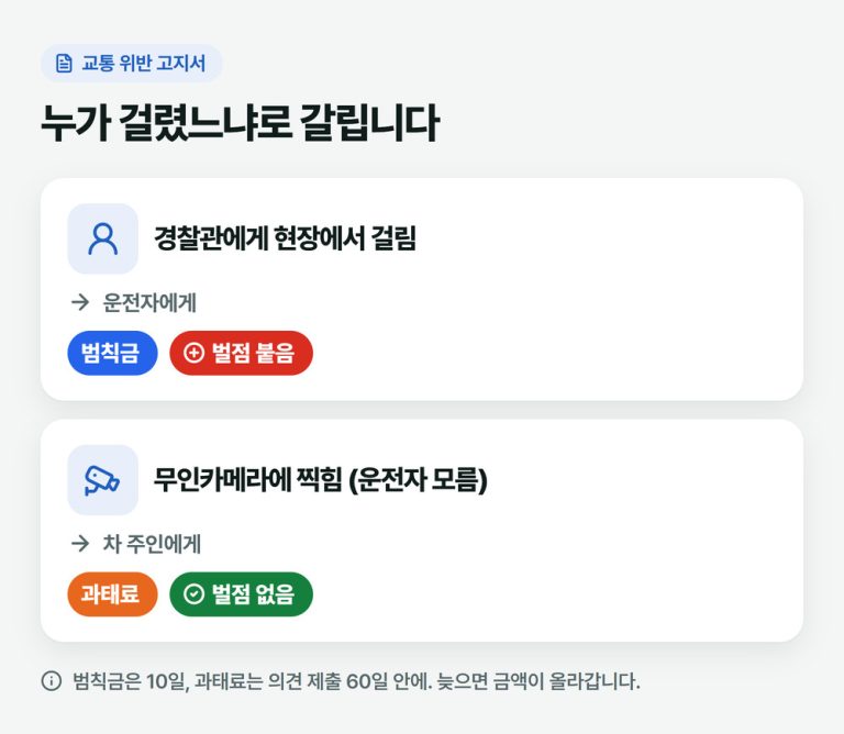 경찰 현장 단속은 운전자에게 범칙금과 벌점, 무인카메라 단속은 차 주인에게 과태료가 부과되고 벌점은 없다