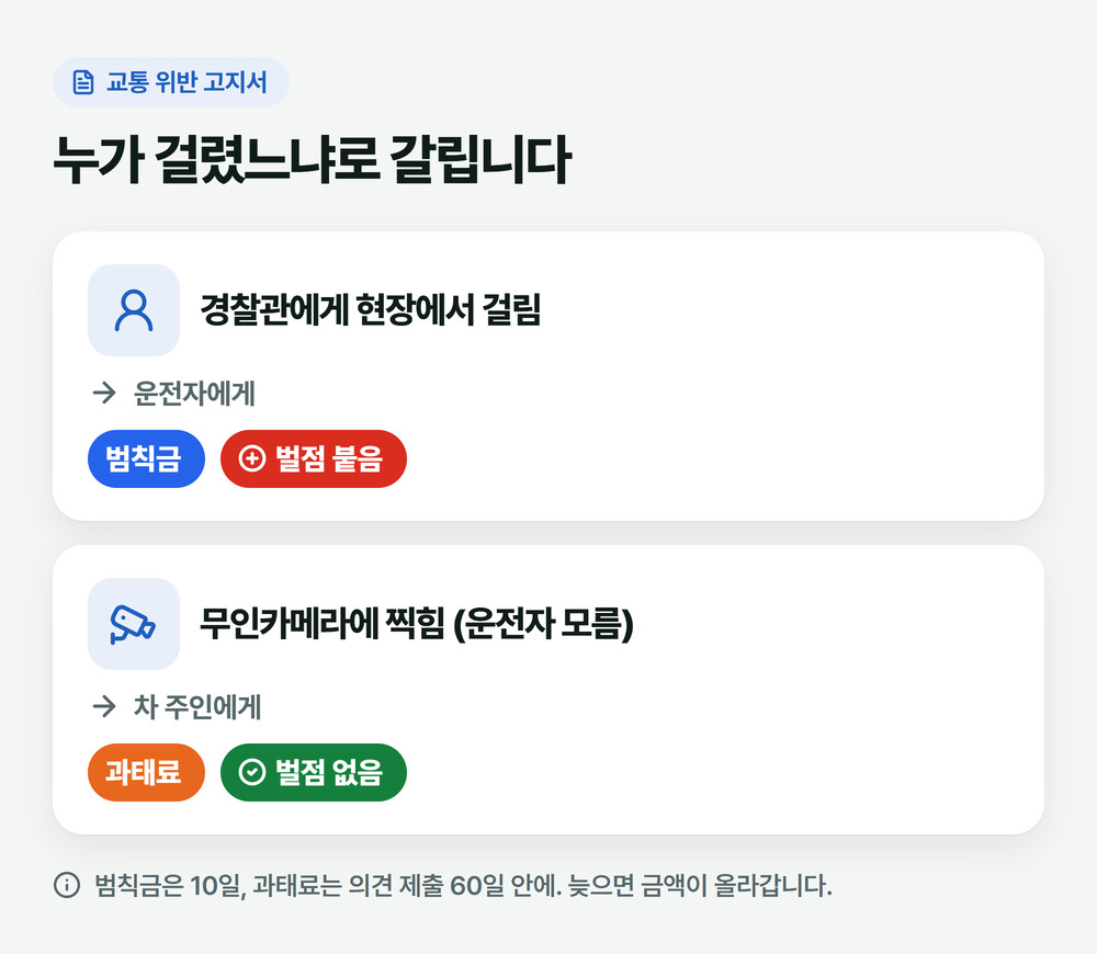 과태료 범칙금 차이: 경찰 현장 단속은 운전자에게 범칙금과 벌점, 무인카메라 단속은 차 주인에게 과태료가 부과되고 벌점은 없다