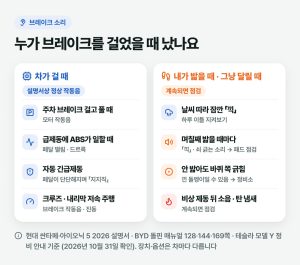 브레이크 소리는 내가 밟을 때 났는지 차가 걸 때 났는지 보세요