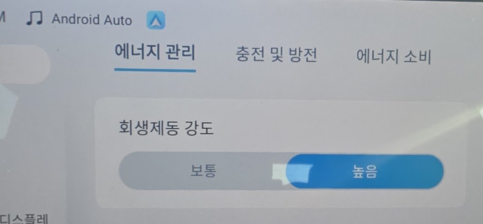 돌핀 에너지 관리 탭의 회생제동 강도 화면, 보통과 높음 중 높음이 파랗게 선택된 모습